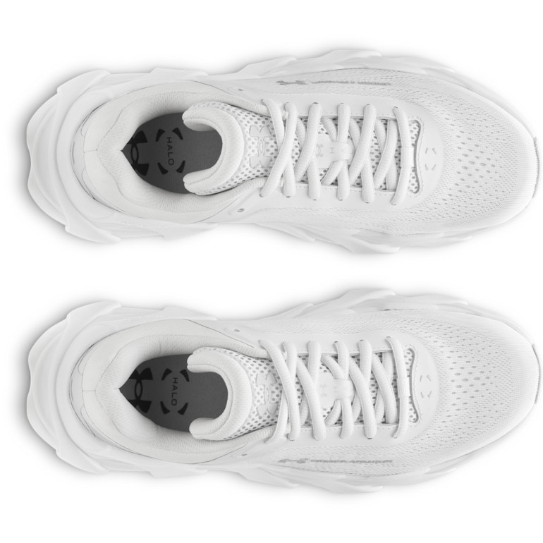 Damskie buty do biegania Under Armour UA W Halo Runner - szare 