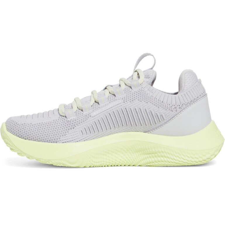 Damskie buty treningowe Under Armour UA W Dynamic 2 - szare