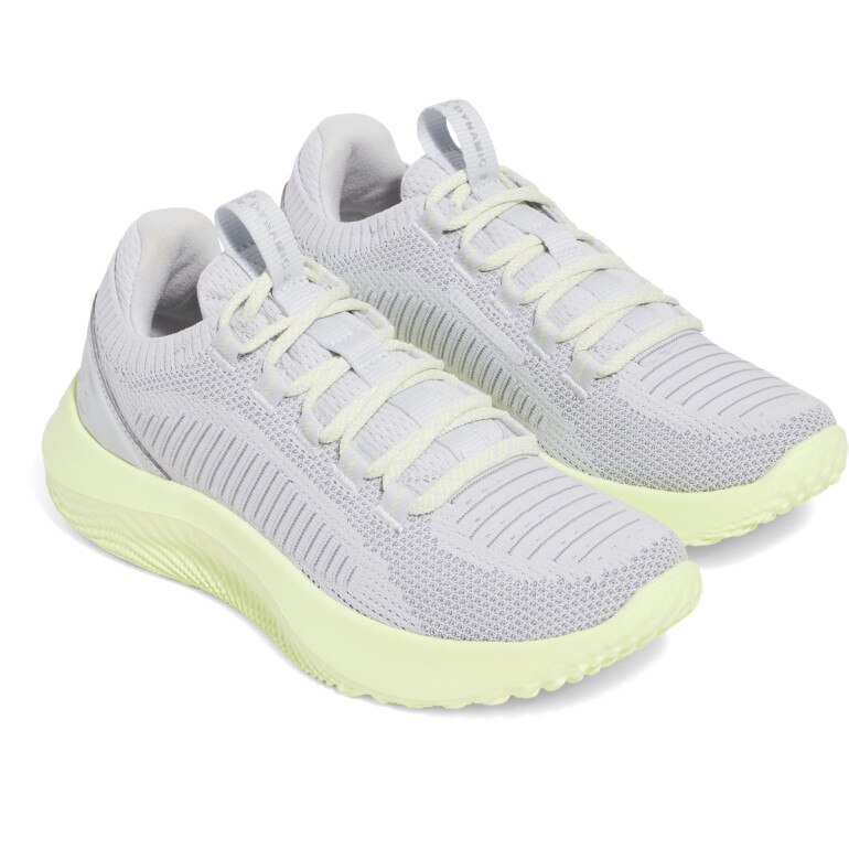 Damskie buty treningowe Under Armour UA W Dynamic 2 - szare
