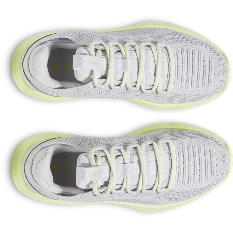 Damskie buty treningowe Under Armour UA W Dynamic 2 - szare