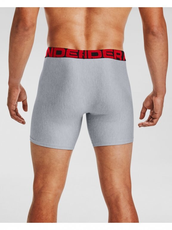 Męska bielizna treningowa (2-pack) UNDER ARMOUR Tech 6in 2 Pack - szara
