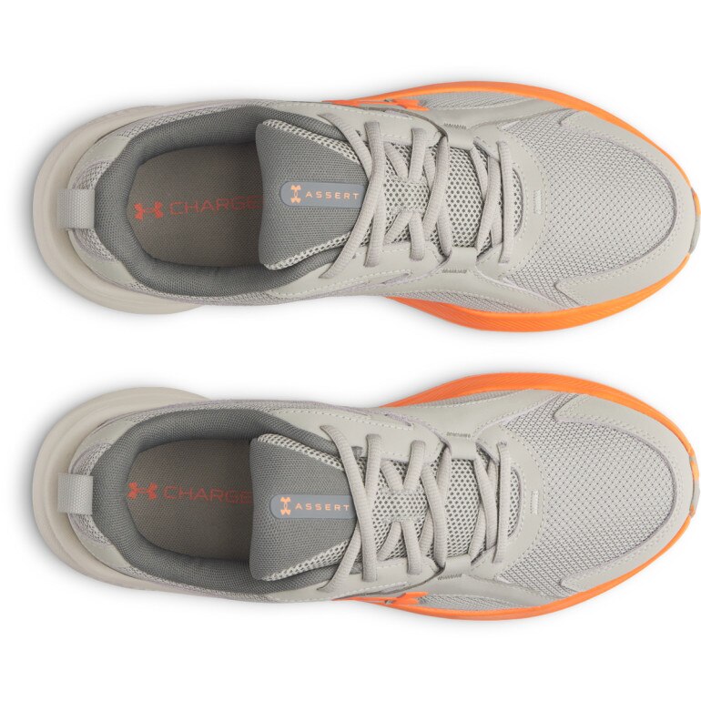 Męskie buty do biegania Under Armour UA Assert 11 - szare