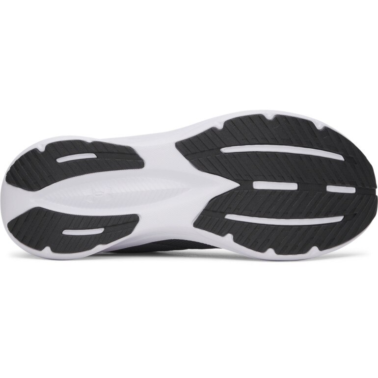 Męskie buty do biegania Under Armour UA Assert 11 - szare