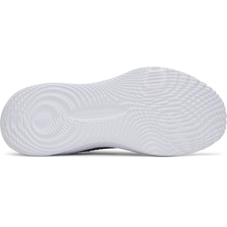 Męskie buty treningowe Under Armour UA W Dynamic 2 - szare