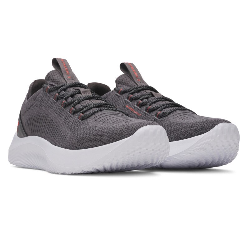 Męskie buty treningowe Under Armour UA W Dynamic 2 - szare