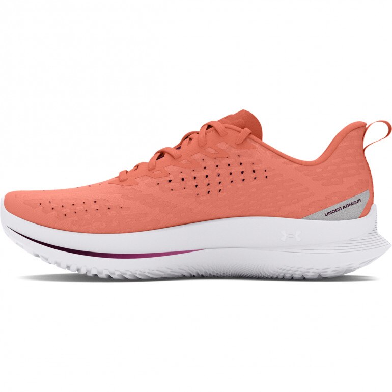 Damskie buty do biegania Under Armour UA W Velociti 4 - białe 